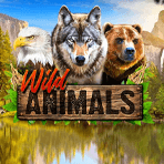 wild animals slot release