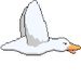 the rarest quack symbol